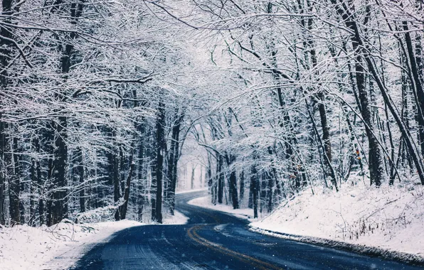 Картинка зима, дорога, лес, снег, деревья, природа, посадка