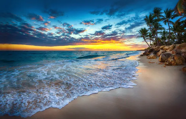 Картинка море, волны, закат, природа, тропики, пальмы, побережье