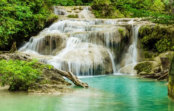 Лес, река, водопад, forest, river, landscape, jungle, beautiful