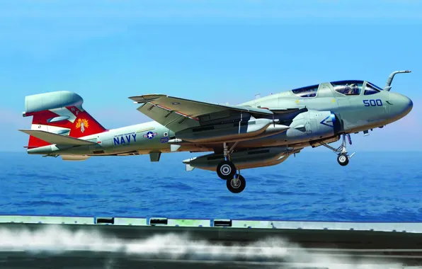 Картинка Grumman, Prowler, ВМС США, палубный самолёт РЭБ, EA-6B