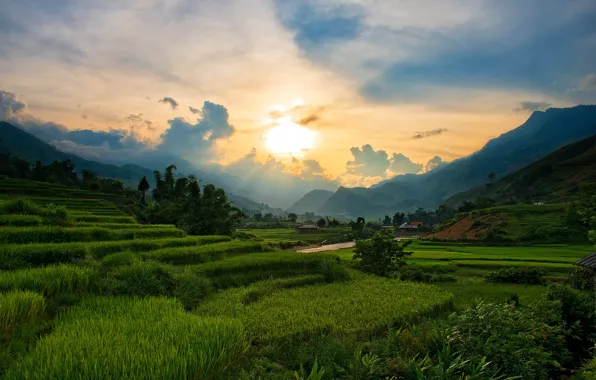 Закат, горы, склоны, вечер, Вьетнам, Sapa, рисовые плантации