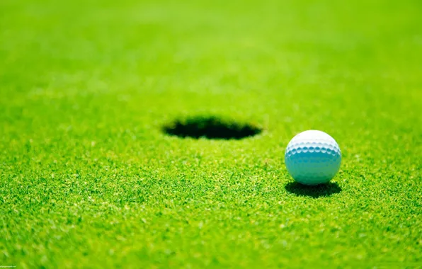 Картинка поле, мяч, гольф