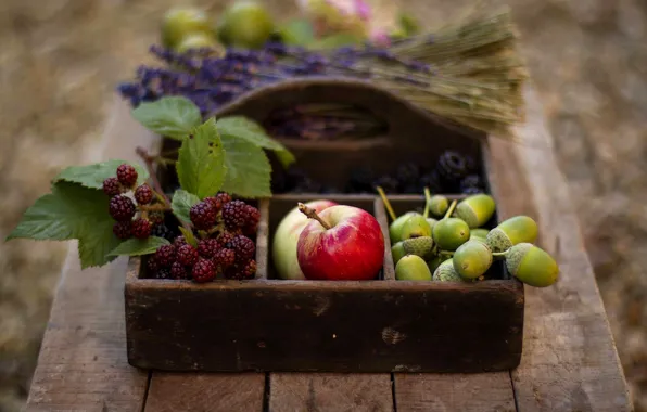 Картинка осень, ягоды, стол, корзина, яблоки, фрукты, желуди, ежевика