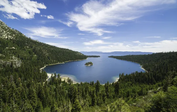 Sea, bay, forrest