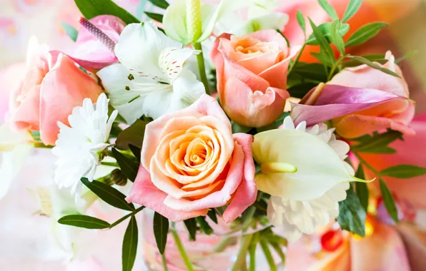 Розы, букет, flowers, bouquet, roses, pastel