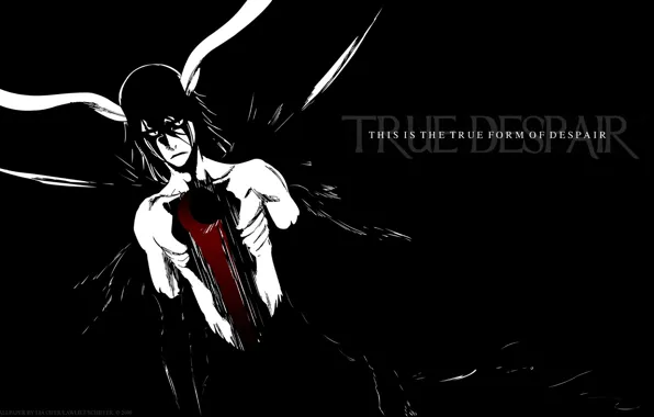 Bleach, Resurrection, Ulquiorra, Arrancar