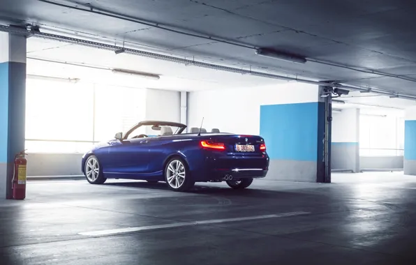 BMW, German, Car, Blue, Cabriolet, Garage, Rear, 220D