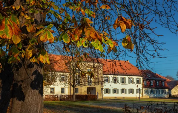 Картинка осень, Германия, Monrepos Palace