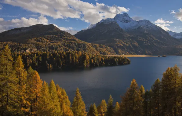Картинка осень, лес, деревья, горы, озеро, Швейцария, Альпы, Switzerland