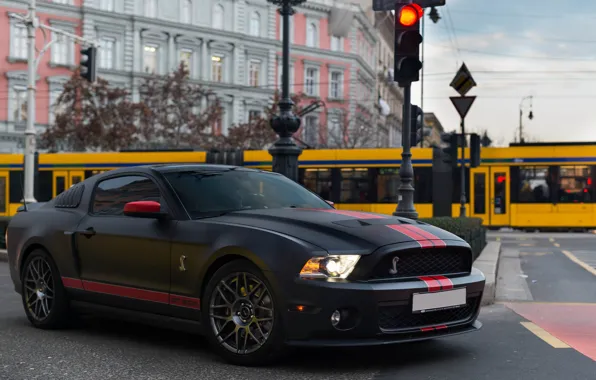 Mustang, Ford, светофор, Shelby GT 500