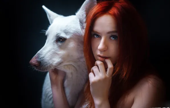 Взгляд, морда, лицо, рука, портрет, собака, рыжая, рыжеволосая