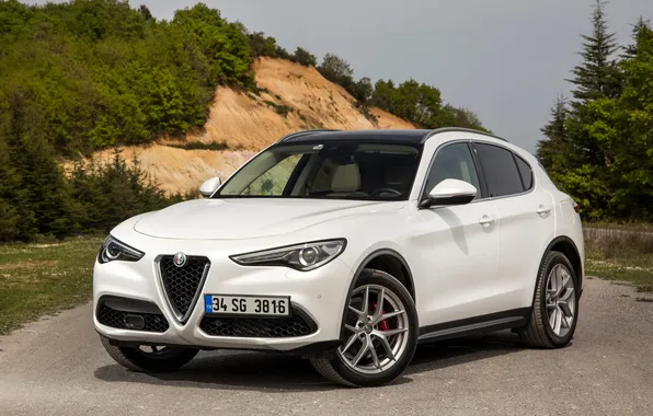 Car, alfa romeo, cars, auto