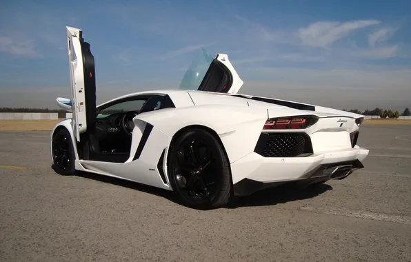 Картинка белый, небо, облака, white, lamborghini, вид сзади, aventador, lp700-4