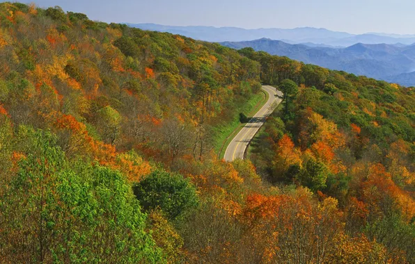 Картинка дорога, осень, лес, небо, деревья, горы, природа, листва
