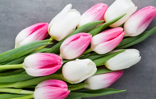 Картинка цветы, букет, тюльпаны, розовые, white, белые, fresh, pink