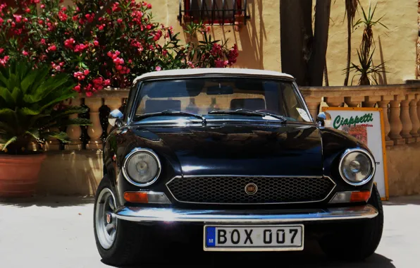 Капот, fiat, Фиат 124