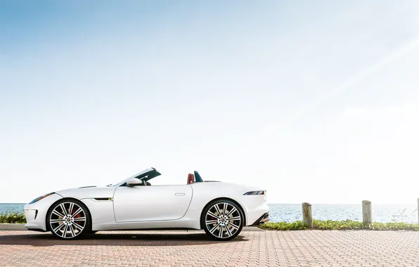 Jaguar, white, F-Type, profile