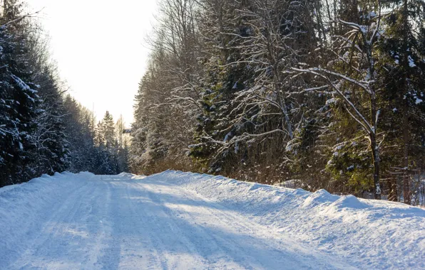 Картинка зима, дорога, лес, снег, закат, природа, путь, мороз