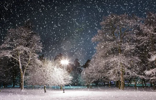 Картинка зима, снег, деревья, ночь, парк, фонарь