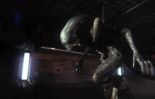 Тьма, чужой, инопланетянин, alien, sega, ксеноморф, Creative Assembly, Survival Horror