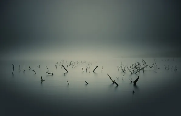 Пейзаж, природа, озеро