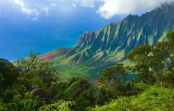Море, деревья, горы, Гавайи, Кауаи, The Nā Pali Coast State Park