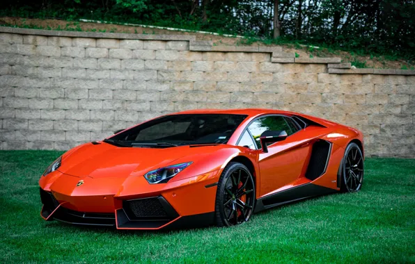 Картинка green, lamborghini, orange, aventador, lawn