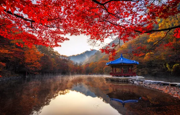 Картинка осень, деревья, пейзаж, горы, ветки, природа, туман, пруд