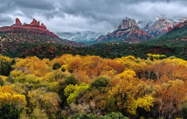 Картинка осень, небо, деревья, горы, тучи, скалы, Аризона, USA