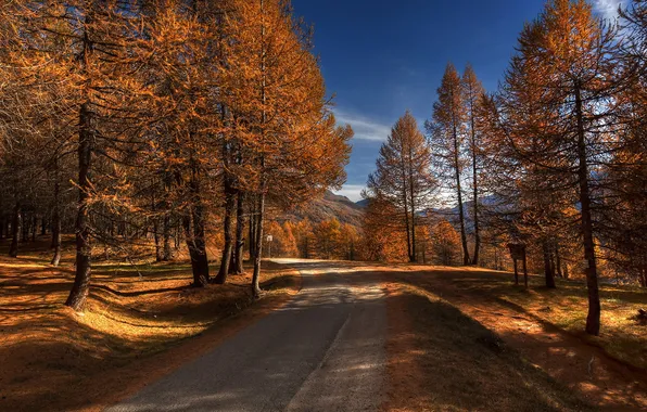 Картинка дорога, осень, лес