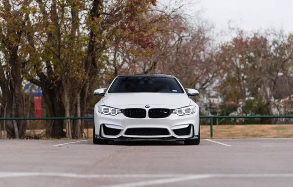 BMW, Front, White, Autumn, Sight, F83