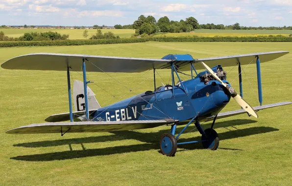 Двухместный, биплан, De Havilland, DH.60 Moth
