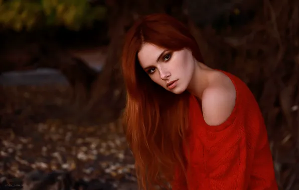 Взгляд, девушка, лицо, рыжая, рыжеволосая, плечо, длинные волосы, свитер