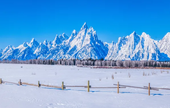 Зима, снег, горы, панорама, США, Grand Teton National Park