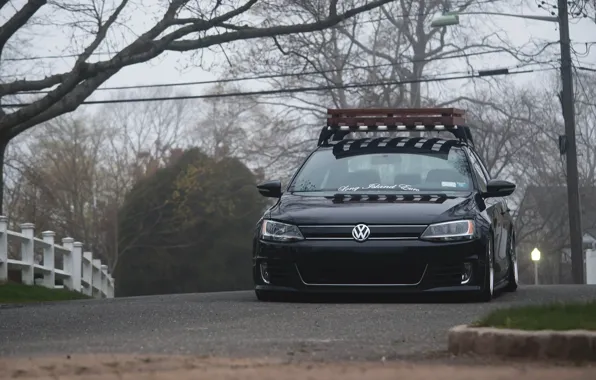 Деревья, Volkswagen, черная, Jetta, MK6