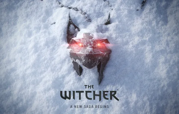 Game, snow, witcher, Lynx