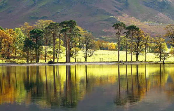 Картинка деревья, пейзаж, озеро