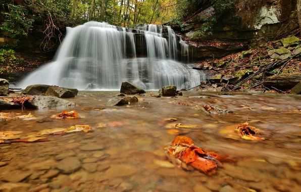 Картинка осень, вода, водопад, поток, water, autumn, leaves, waterfall