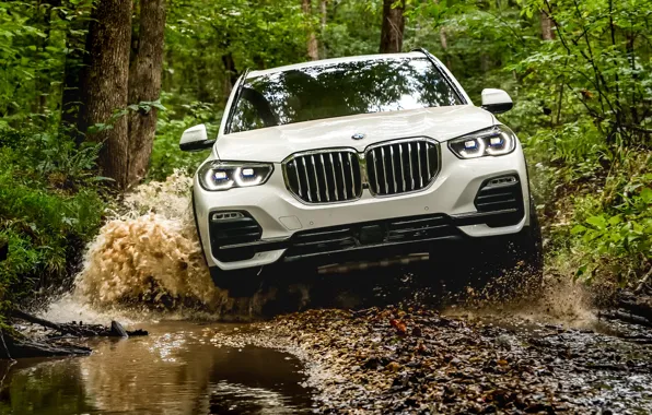 Бездорожье, вид спереди, 2018, BMW X5, кроссовер, XDrive40i