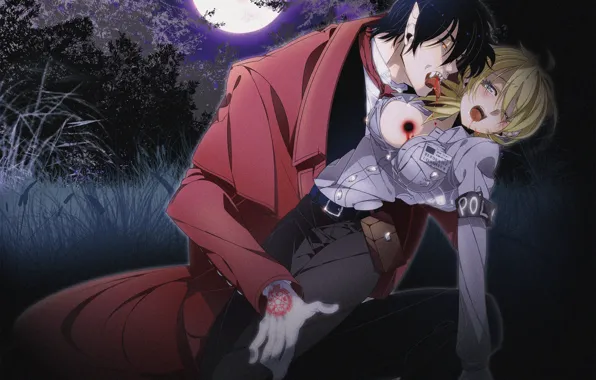 Девушка, ночь, кровь, вампир, Hellsing, Хеллсинг