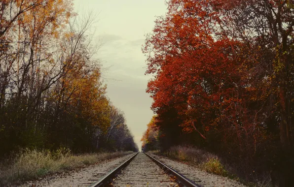 Sky, trees, autumn, railway, foliage