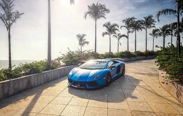 Солнце, пальмы, Синий, Lamborghini, Aventador, lp700-4