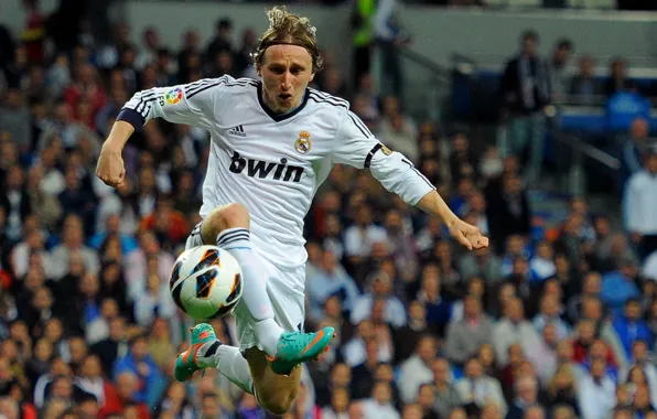 Картинка football, Real Madrid, Luka Modric