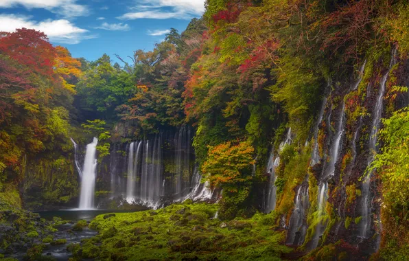 Картинка осень, лес, река, водопад, Япония, Japan, Fujinomiya, Фудзиномия