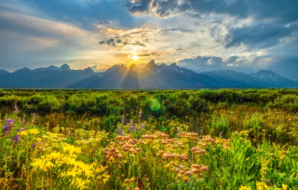 Картинка солнце, облака, горы, США, Grand Teton National Park