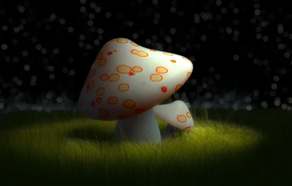 Картинка ночь, гриб, мухомор, полянка