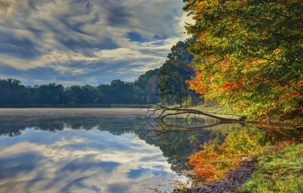 Картинка осень, лес, небо, листья, вода, облака, деревья, горы