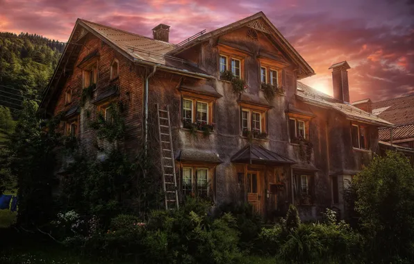 Картинка лес, дома, обработка, old country house