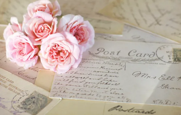 Картинка цветы, розы, розовые, винтаж, письма, открытки