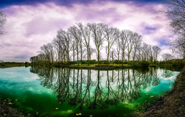 Картинка осень, вода, деревья